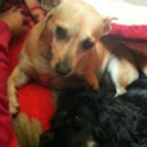 Meet your Posher, Maria